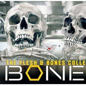 Bones Seasons 1-12 Box Set