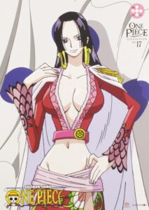 One Piece – Collection 17 DVD cover