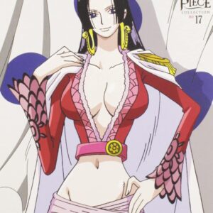 One Piece - Collection 17