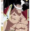 One Piece - Collection 19 [DVD]
