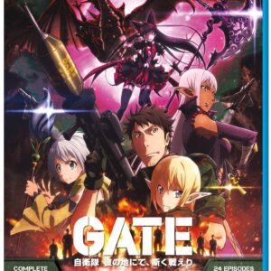 Gate
