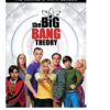 The Big Bang Theory: Season 9
